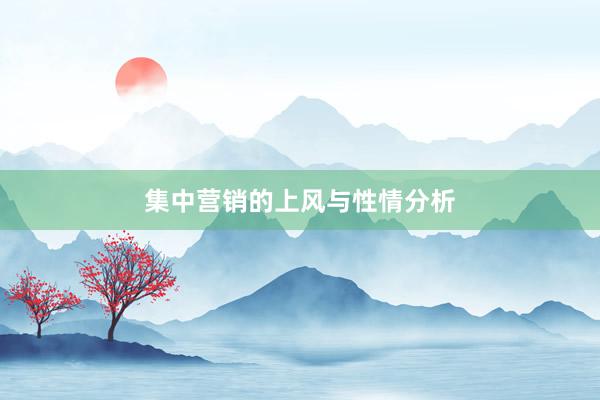 集中营销的上风与性情分析